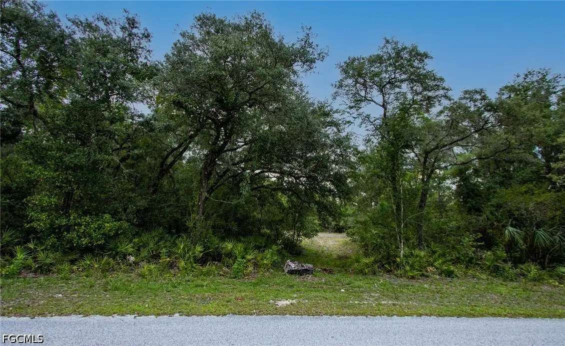 34122 August Avenue, Webster, FL 33597 - #1