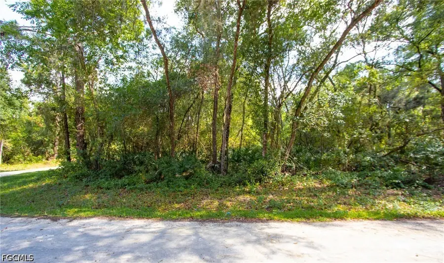 8009 Packingham Street, Webster, FL 33597 - #2