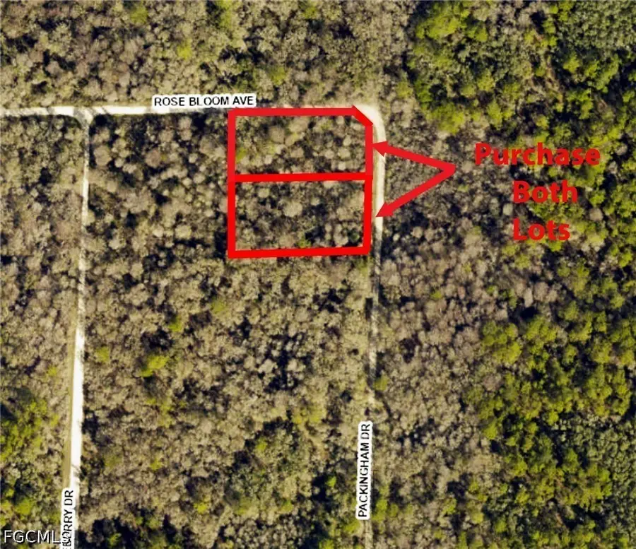 8009 Packingham Street, Webster, FL 33597 - #3