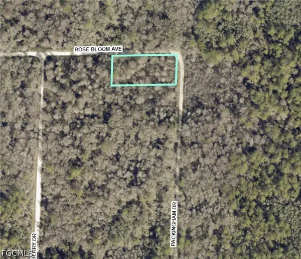 33464 Packingham Drive, Webster, FL 33597
