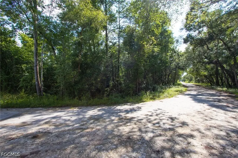 33464 Packingham Drive, Webster, FL 33597 - #3