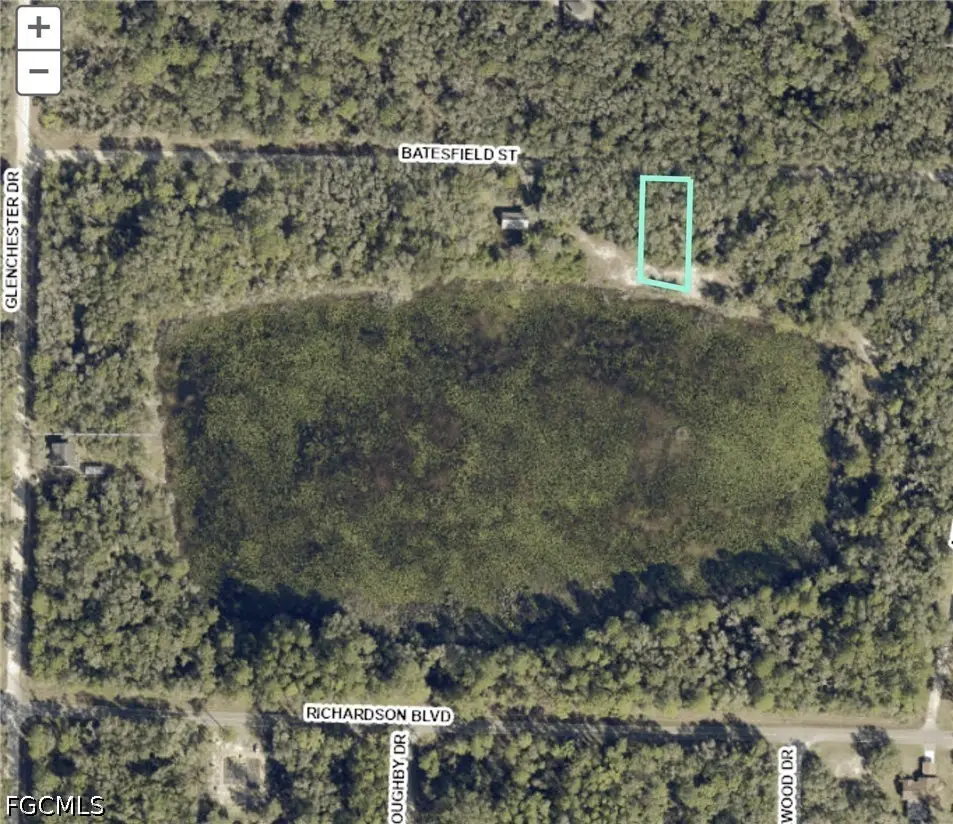 35084 Batesfield Street, Webster, FL 33597 - #1