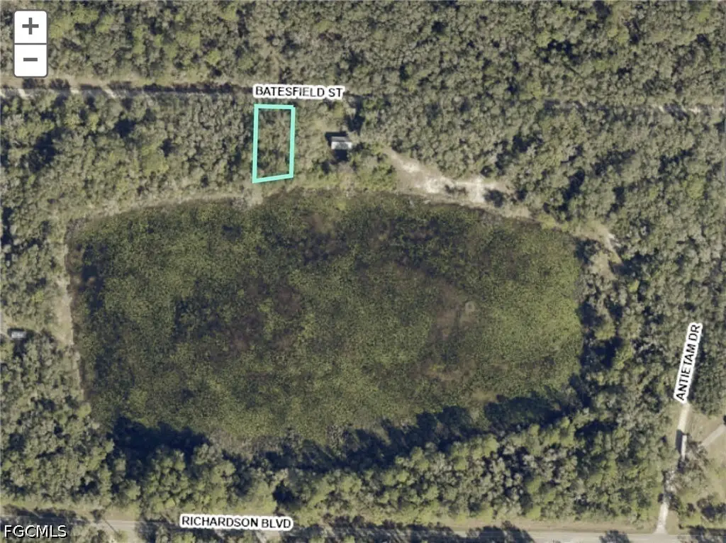 35034 Batesfield Street, Webster, FL 33597 - #1