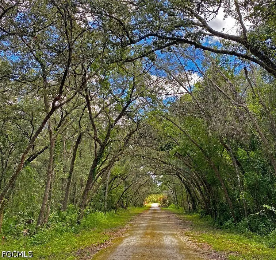 35028 Batesfield Street, Webster, FL 33597 - #3