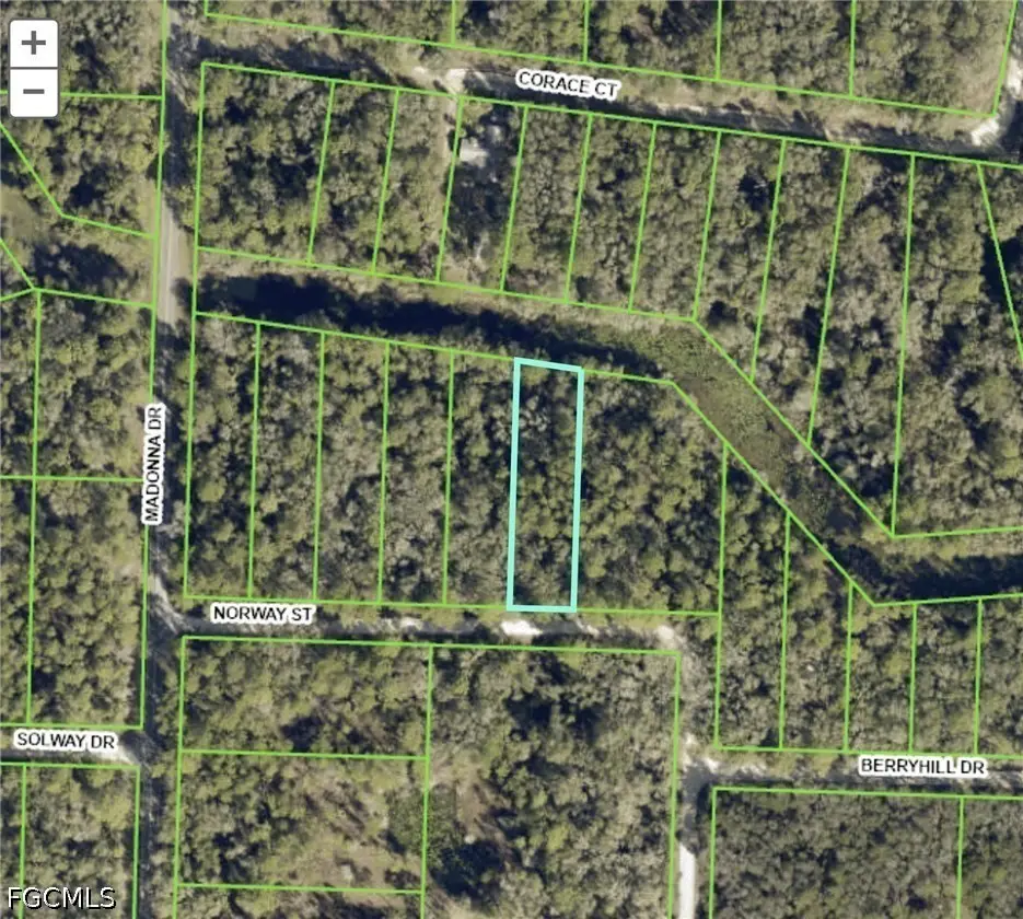 7200 Norway Street, Webster, FL 33597 - #1