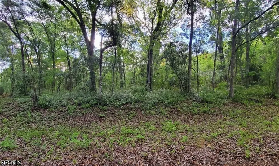 0 Kenyon Drive, Webster, FL 33597 - #2