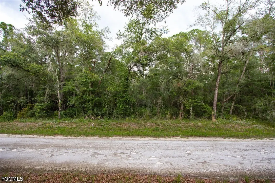7398 Southeast Avenue, Webster, FL 33597 - #1
