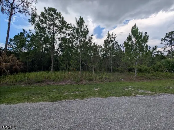 1007 Cleveland Avenue, Lehigh Acres, FL 33972