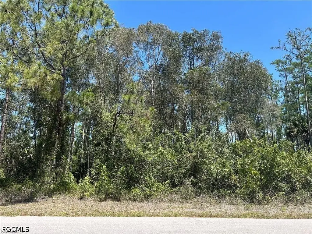 665 Knapp Street, Lehigh Acres, FL 33974 - #1