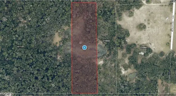 Mikasuki Trail, Paisley, FL 32767