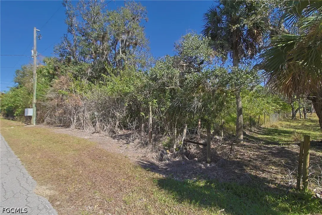 2975 Styles Road, Alva, FL 33920 - #1