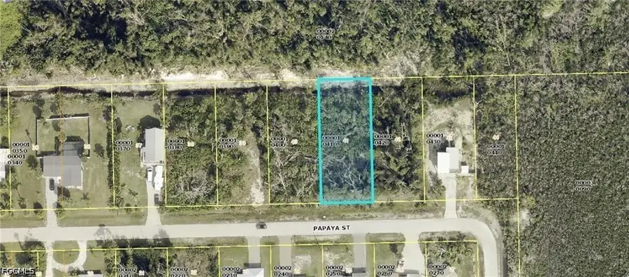 3486 Papaya Street, Saint James City, FL 33956 - #3