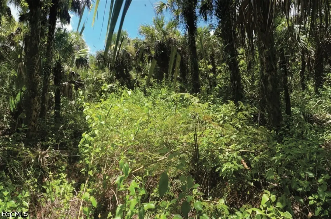 Address Withheld By Seller, Naples, FL 34117 - #1