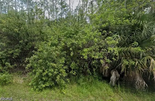 3315 37th Street W, Lehigh Acres, FL 33971