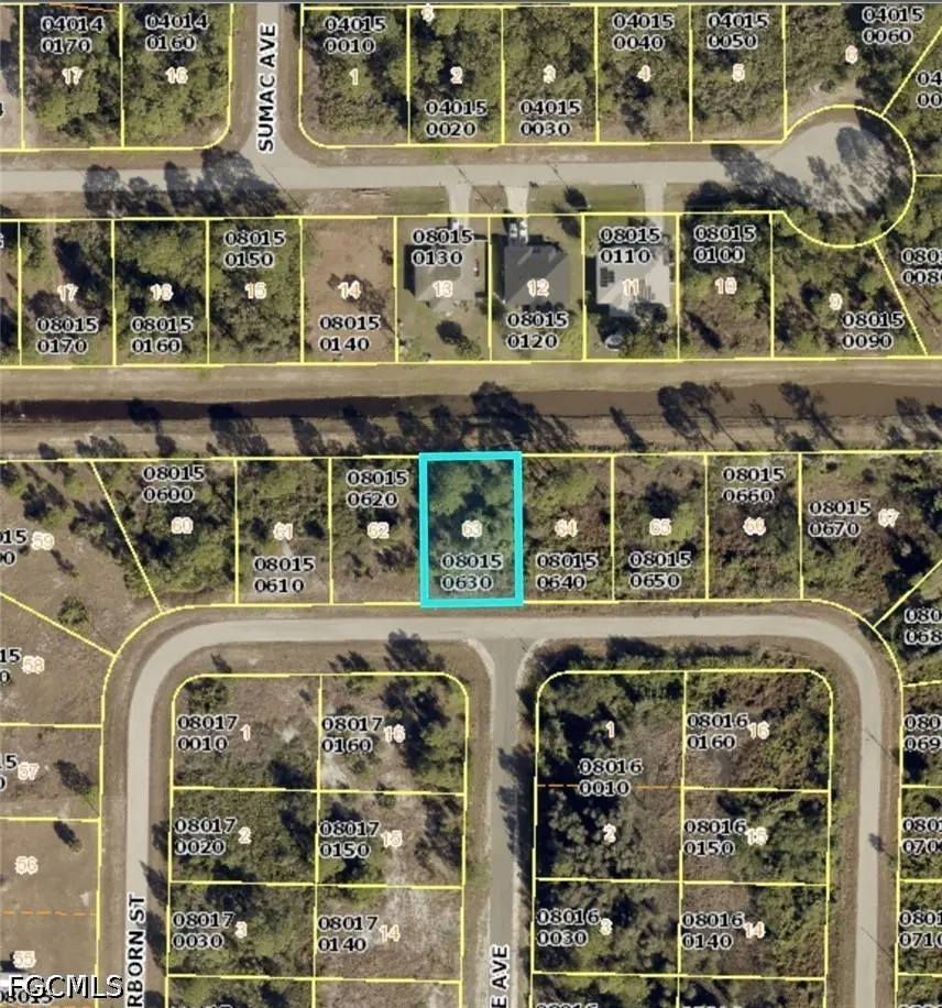 1053 Dearborn Street, Lehigh Acres, FL 33974 - #2