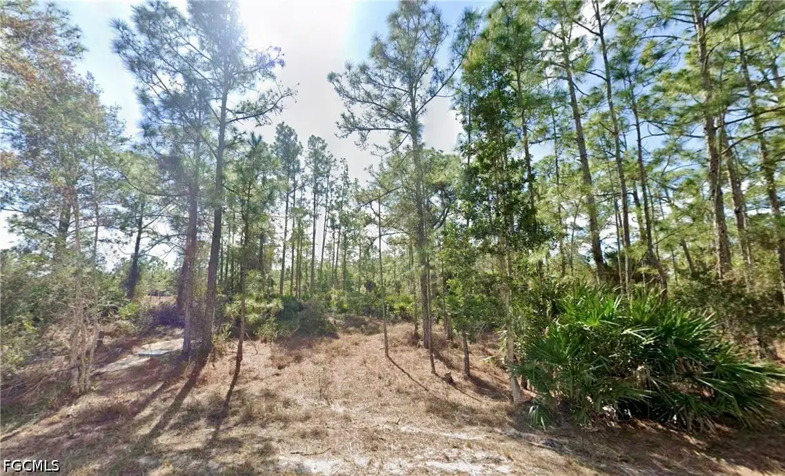 339 Mines Street, Lehigh Acres, FL 33972 - #1