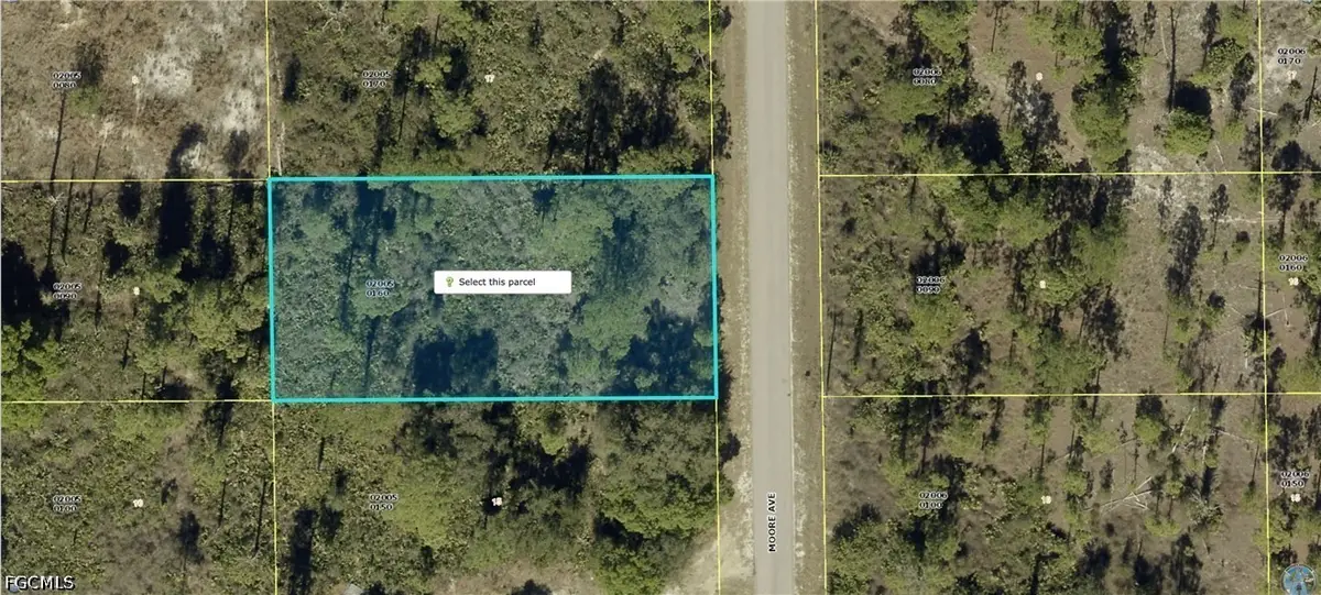 807 Moore Avenue, Lehigh Acres, FL 33972 - #1