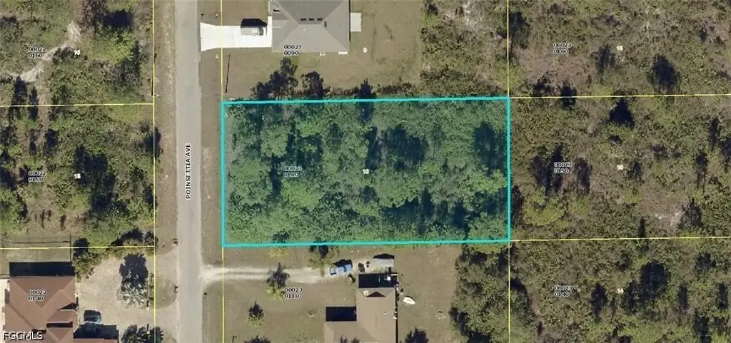 904 Poinsettia Avenue, Lehigh Acres, FL 33972 - #1