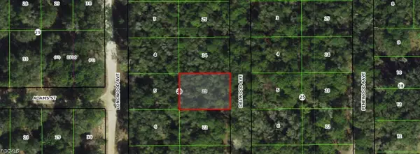 709 Dalwood Avenue, Inverness, FL 34453