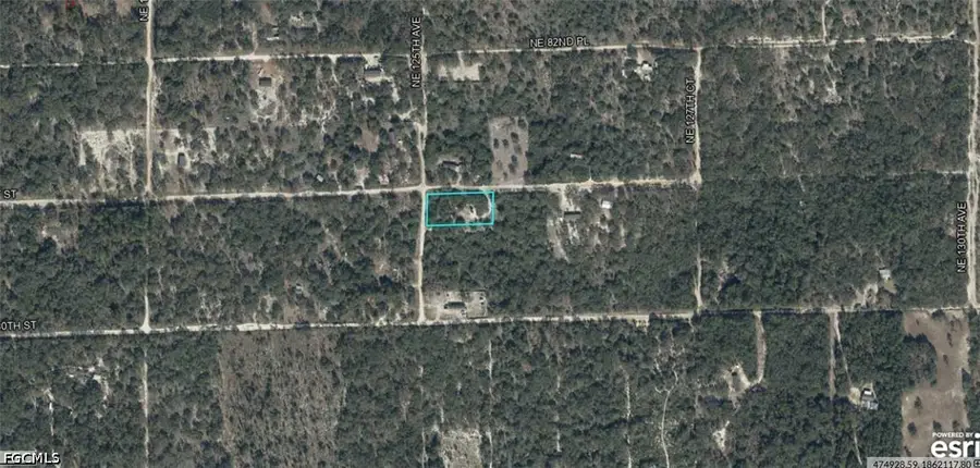 03400-239-00 NE 125th Avenue, Bronson, FL 32621 - #2
