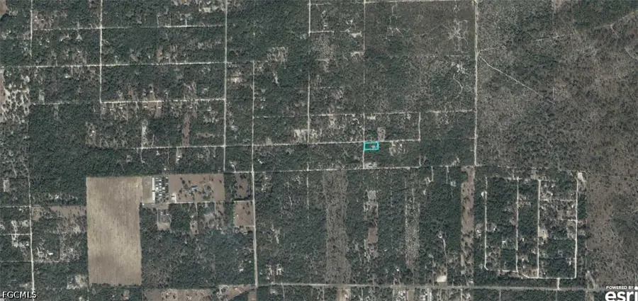 03400-239-00 NE 125th Avenue, Bronson, FL 32621 - #3
