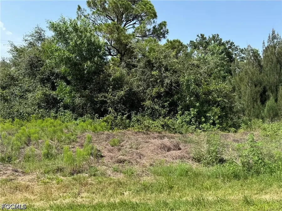 28172 Barstow Drive, Punta Gorda, FL 33955 - #3