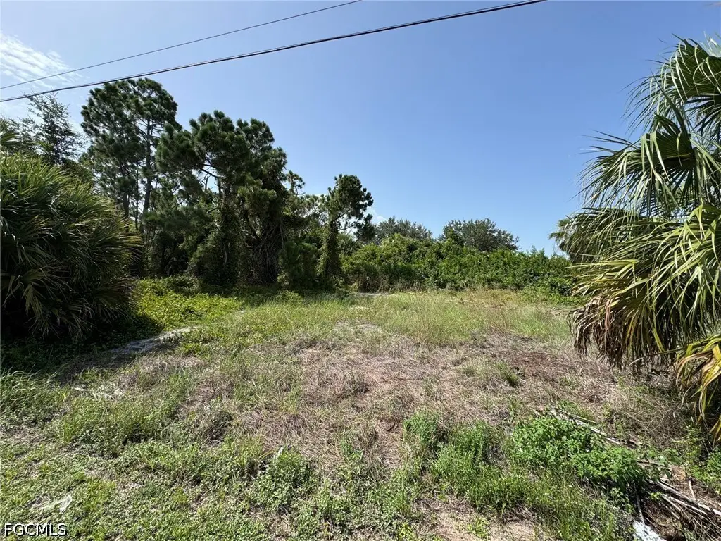 26492 Angelica Road, Punta Gorda, FL 33955 - #1