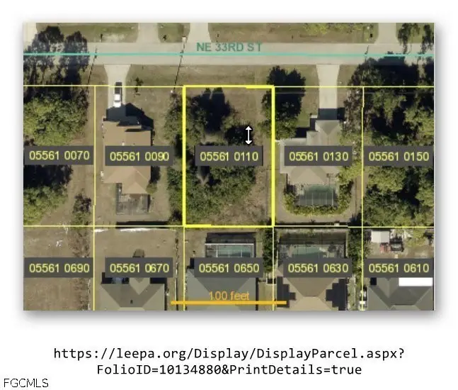 1010 NE 33rd Street, Cape Coral, FL 33909 - #1