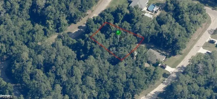9125 N Mantle Way, Citrus Springs, FL 34434 - #2