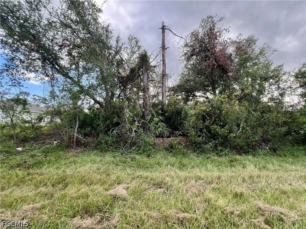 12189 Vaughan Avenue, Port Charlotte, FL 33981 - #1
