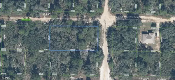 2976 W Cheviot Road, Avon Park, FL 33825