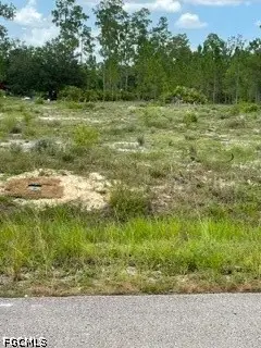1216 Maple Avenue N, Lehigh Acres, FL 33972 - #2