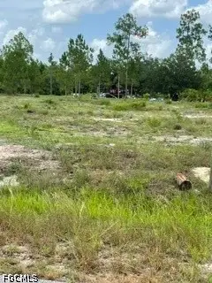 1216 Maple Avenue N, Lehigh Acres, FL 33972 - #3