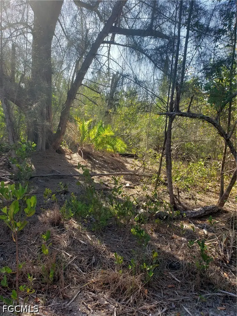 TBD Masters Landing Drive, Pine Island, FL 33956 - #3