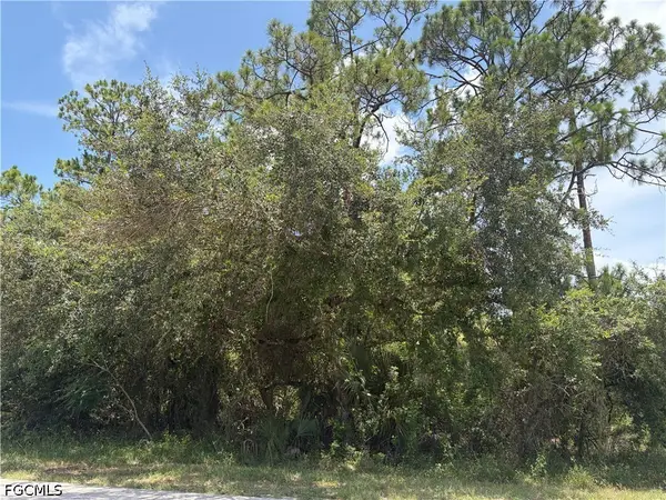 806 E 6th Street, Lehigh Acres, FL 33972