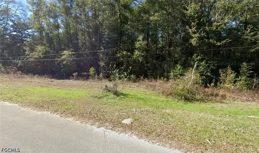 25-3N-19-19040-005-0050 N 4th Street, Defuniak Springs, FL 32433 - #3