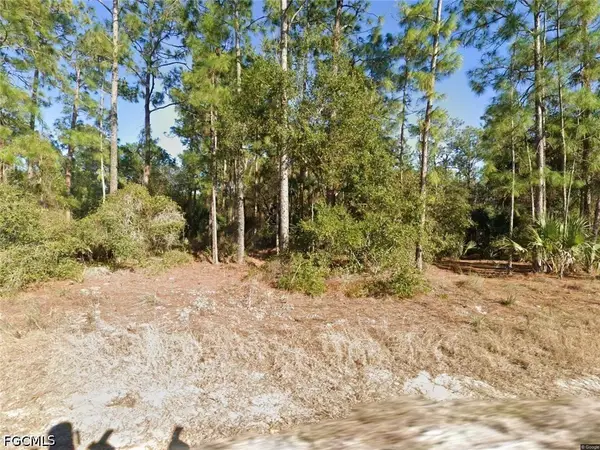 1676 Palmetto Avenue, Lehigh Acres, FL 33972