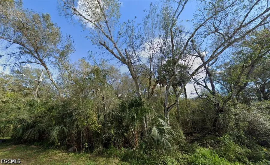 000 S Hickory Street, Labelle, FL 33935 - #2