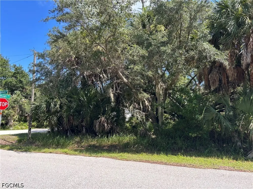 26156 Hapsburg Road, Punta Gorda, FL 33955 - #1