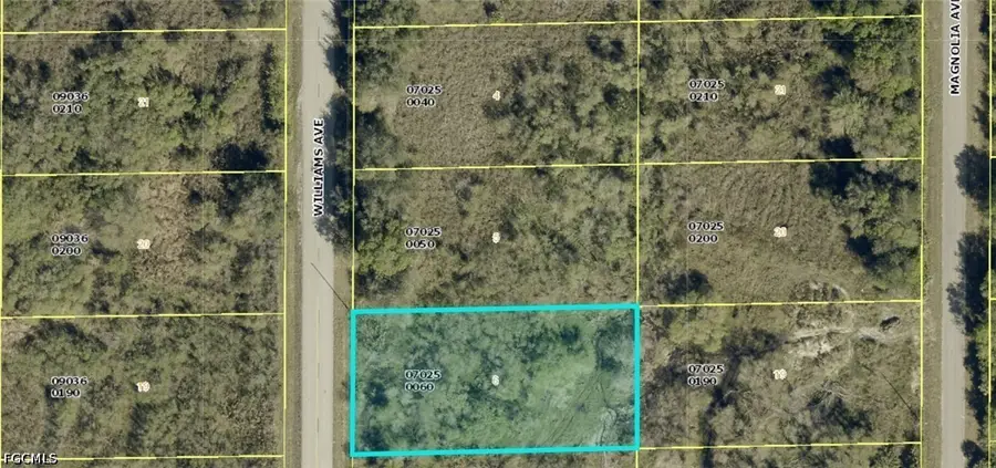 1412 Williams Avenue, Lehigh Acres, FL 33972 - #2