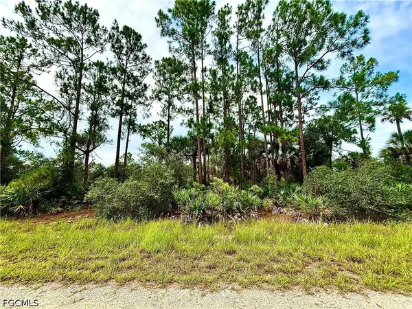 4203 E 27th Street, Alva, FL 33920