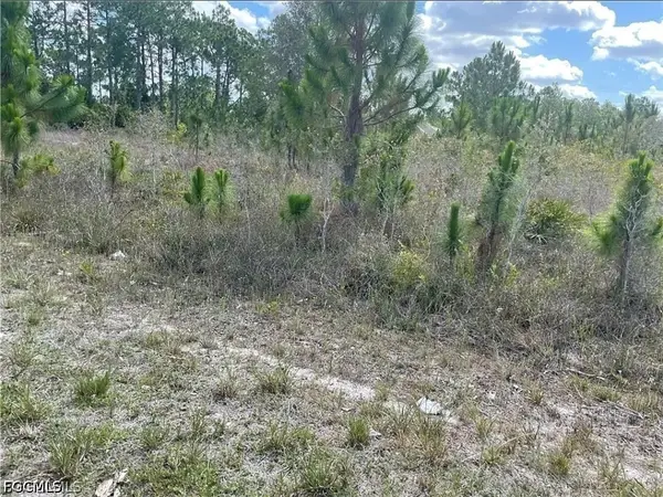 763 Bedford Drive, Lehigh Acres, FL 33974