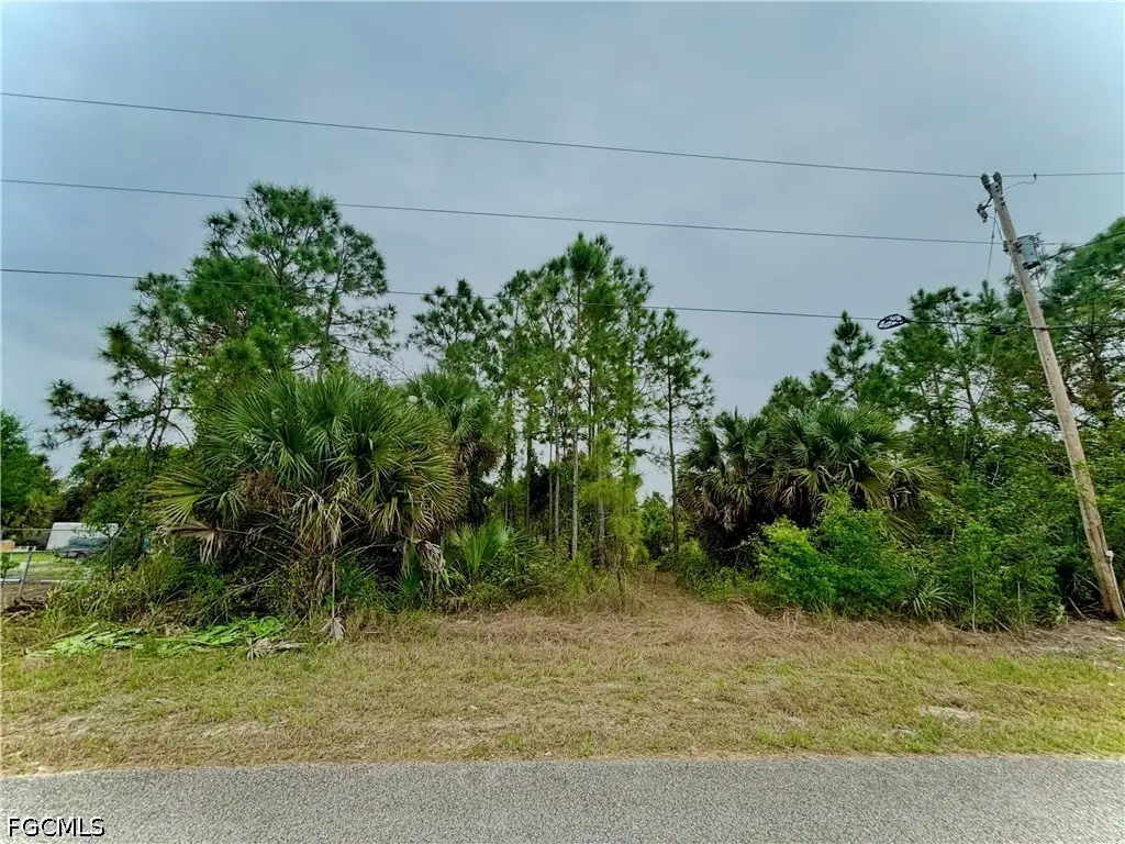 313 Selkirk Avenue, Lehigh Acres, FL 33974 - #1
