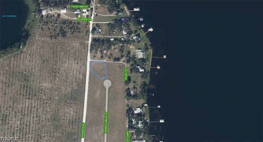 145 Magnolia Manor Lane, Lake Placid, FL 33852 - #2