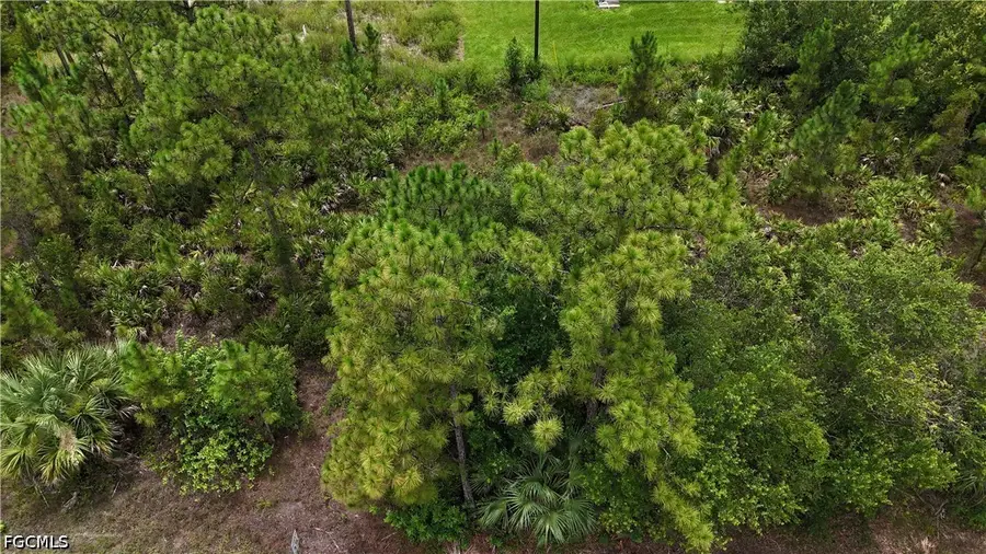 2402 E 10th Street, Lehigh Acres, FL 33936 - #2