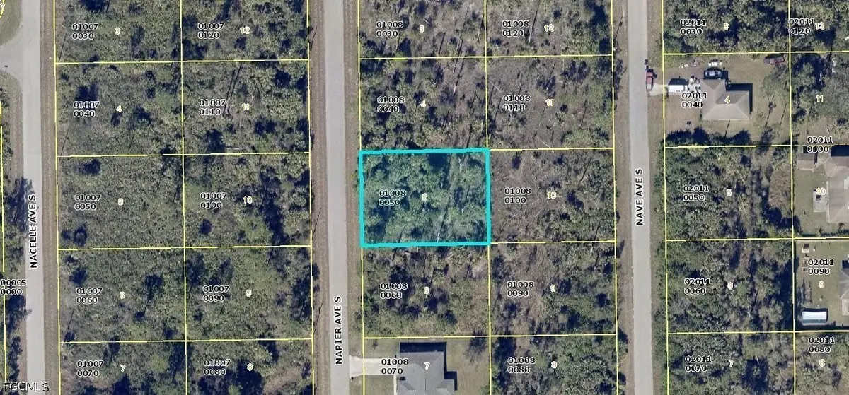133 Napier Avenue S, Lehigh Acres, FL 33974 - #1