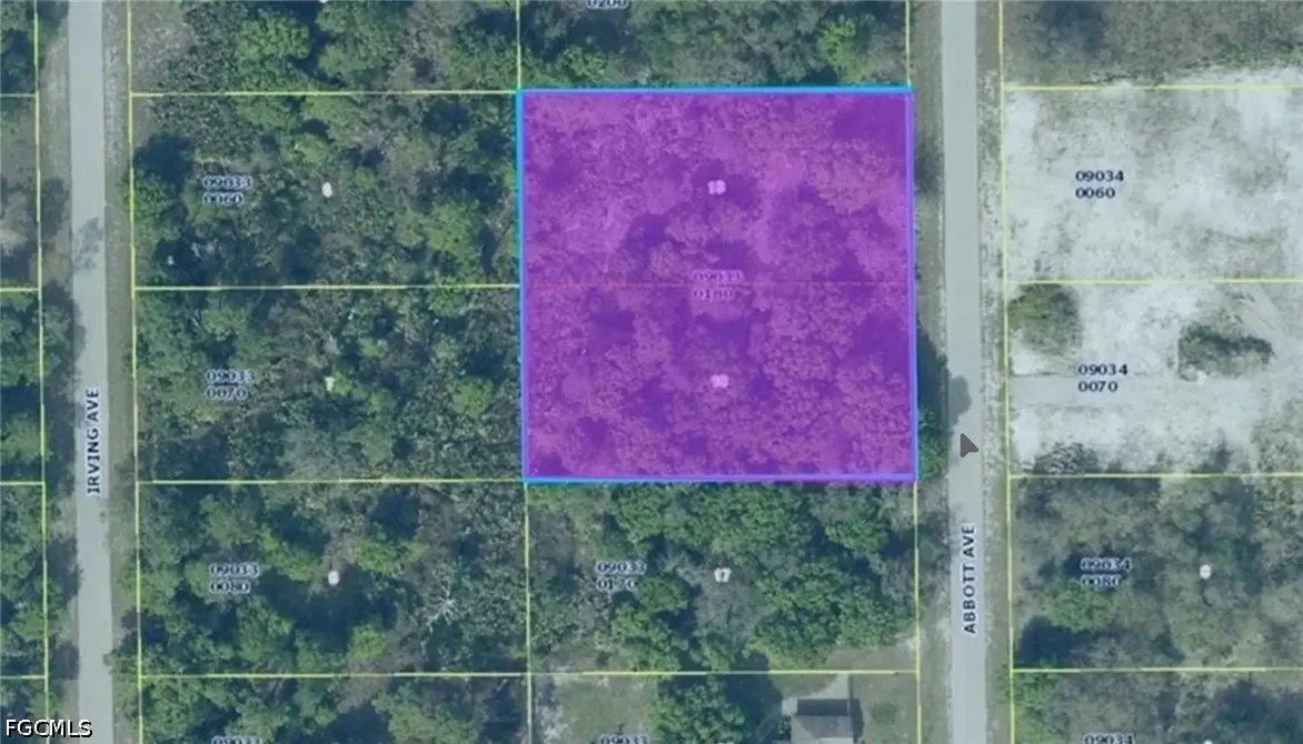 1011 Abbott Avenue, Lehigh Acres, FL 33972 - #1
