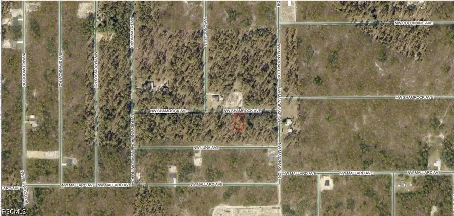 1814-007-013 NW Shamrock Avenue, Dunnellon, FL 34431 - #2