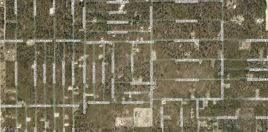 1814-007-013 NW Shamrock Avenue, Dunnellon, FL 34431 - #3