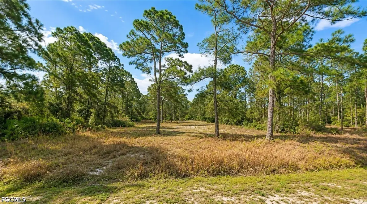 2206 Jefferson Avenue, Alva, FL 33920 - #1
